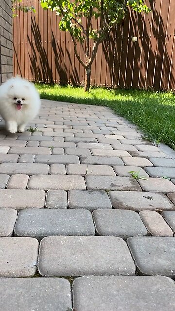 #youtube #viral #trending #how #youtuber #youtubevideo#love #edit #editing #edits #love #baby @yvr1