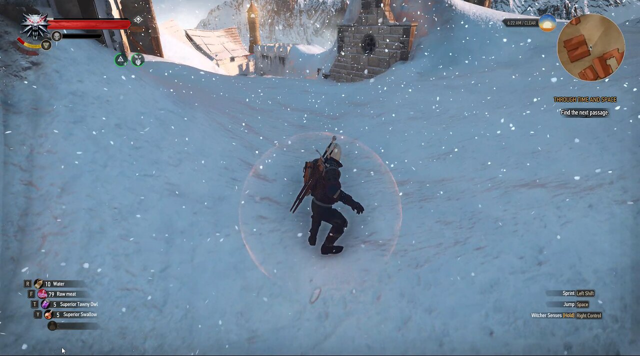 The Witcher 3 through time and space part 3 white frost