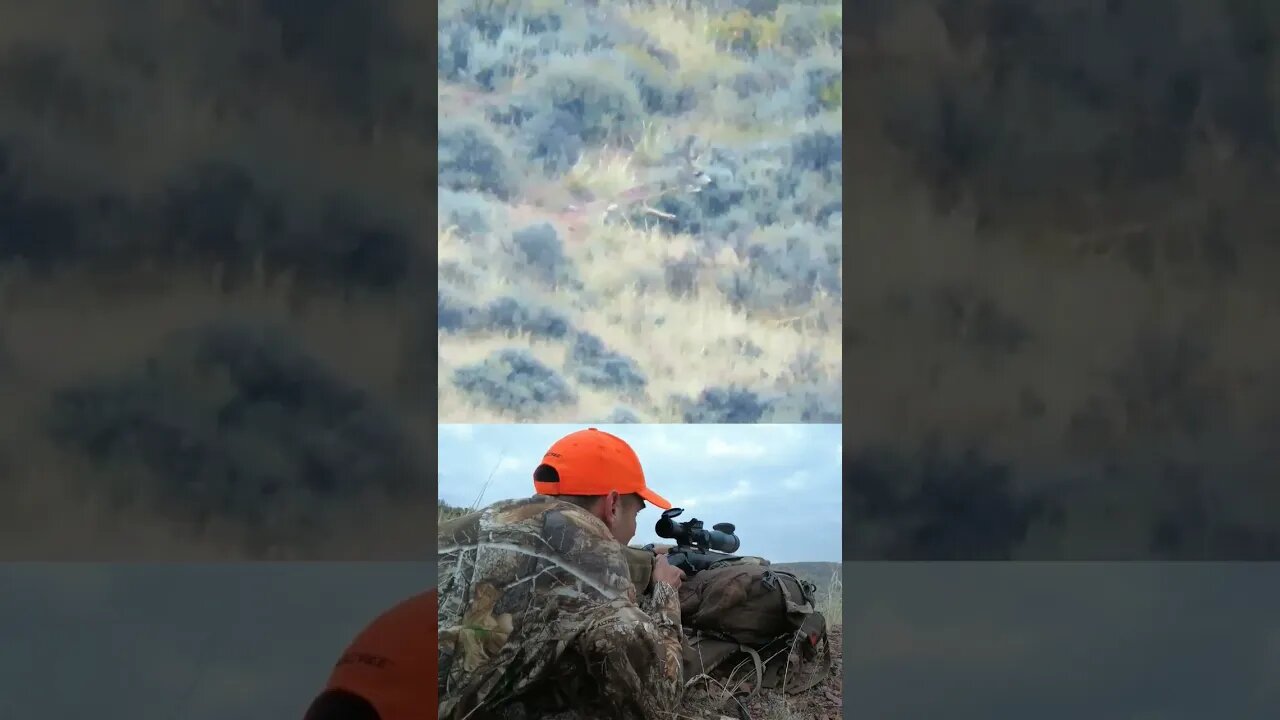 375 Yard Neck Shot in Slow Motion