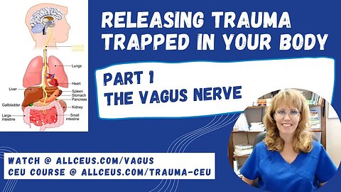 How Trauma Gets Trapped in Your Body Part 1 the Vagus Nerve