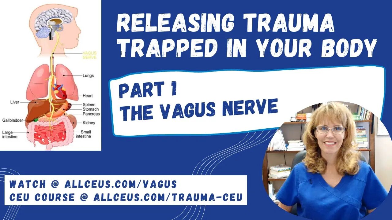 How Trauma Gets Trapped in Your Body Part 1 the Vagus Nerve