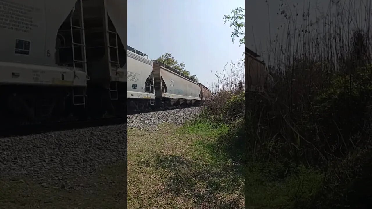 Pensacola train