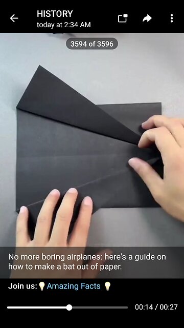 Documentary: How to Make Paper Bat