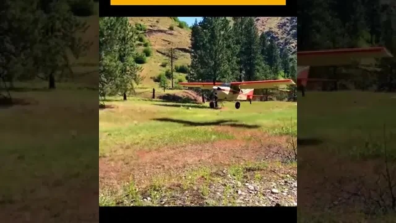 Incredible Smooth Landing in The Woods #Aviation #Flight