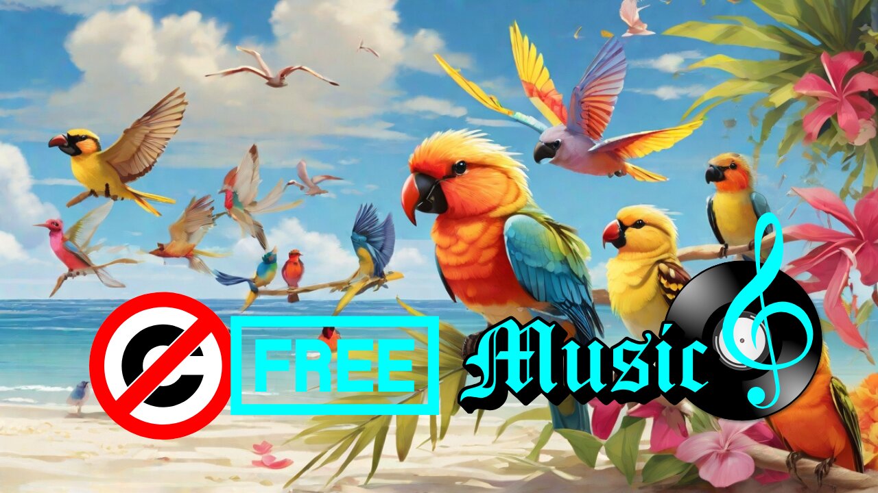 Summer Martin Birds In The Beach Vlog No Copyright Music Upbeat Tropical House Background!