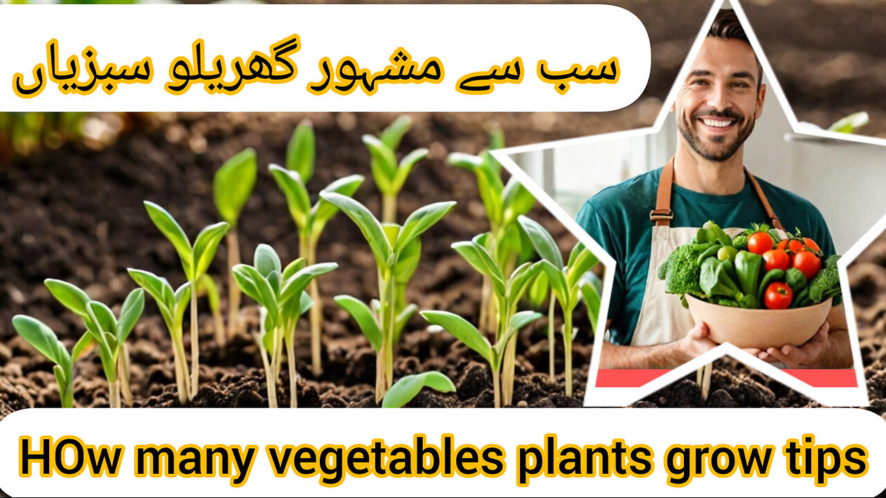 Most important ideas vegetables garden growing in a
