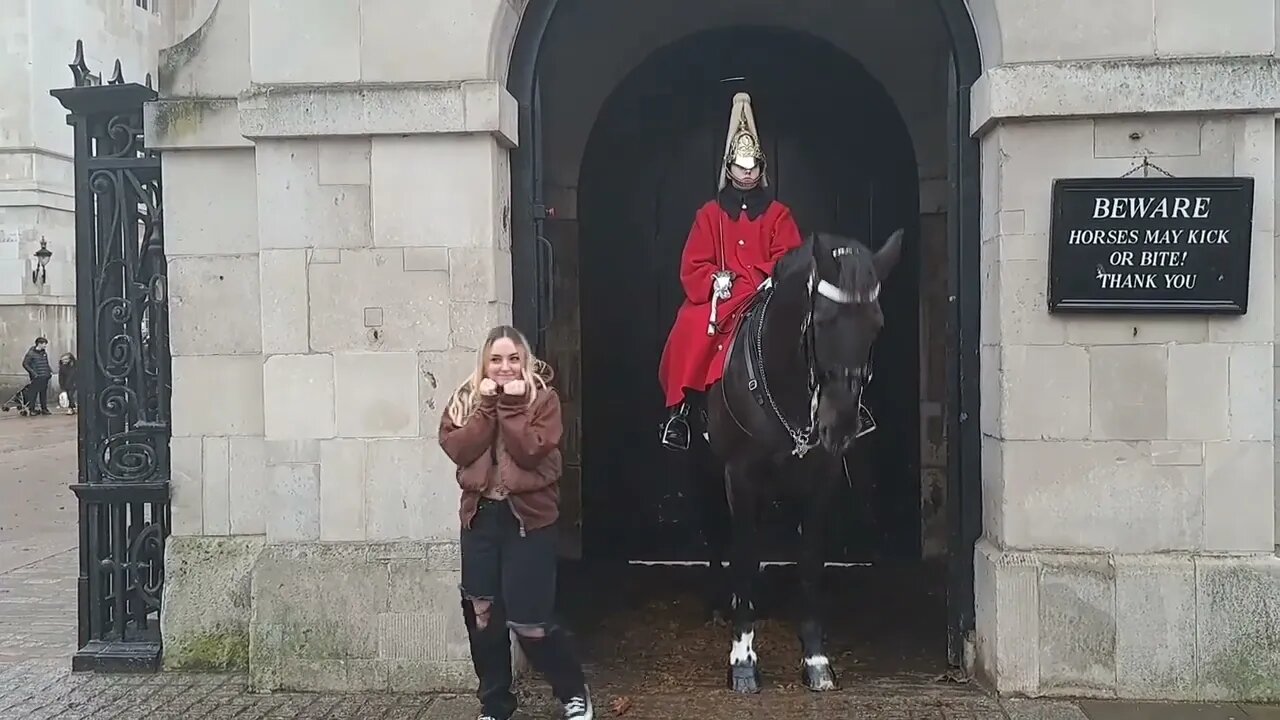 They get the giggles #horseguardsparade