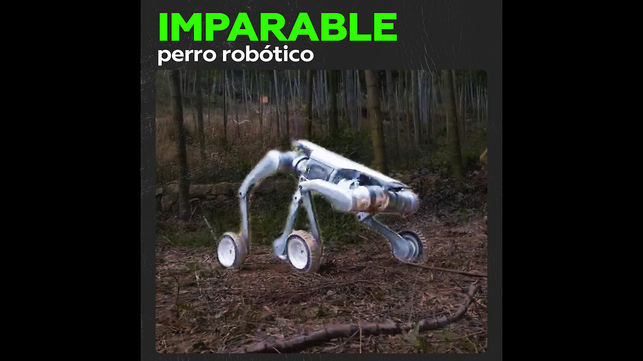 Un competidor para Boston Dynamics: empresa china presenta su perro-robot