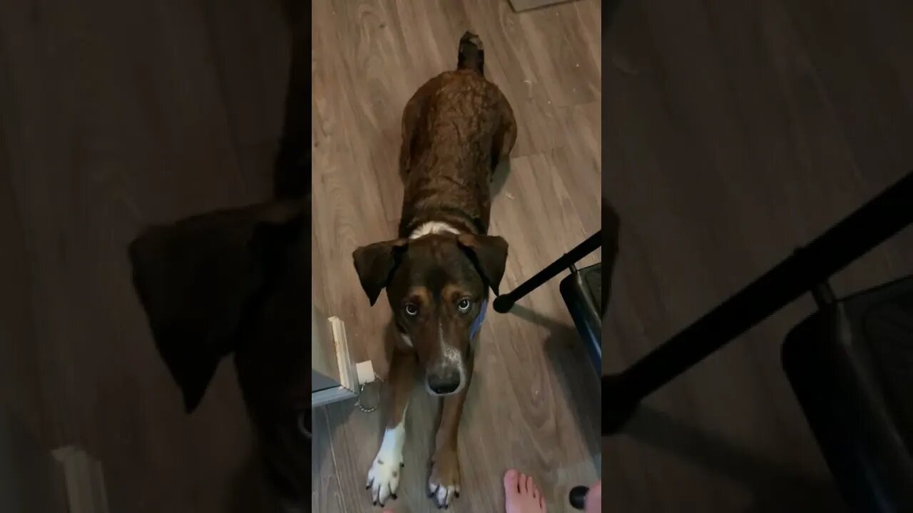 He’s amazing