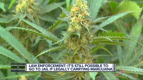 Police: It's still possible to go to jail if legally carrying marijuana