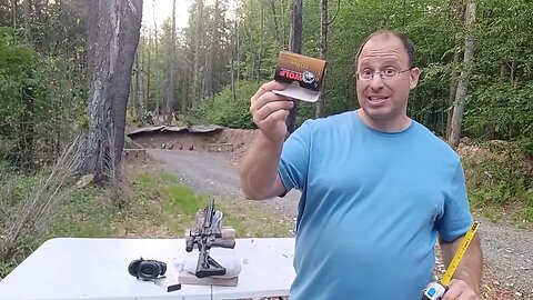 Palmetto 556 accuracy 1.5 moa with Wolf Gold