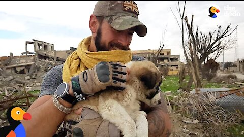 Soldier Saves Puppy Then Realizes He Can't Live Without Her