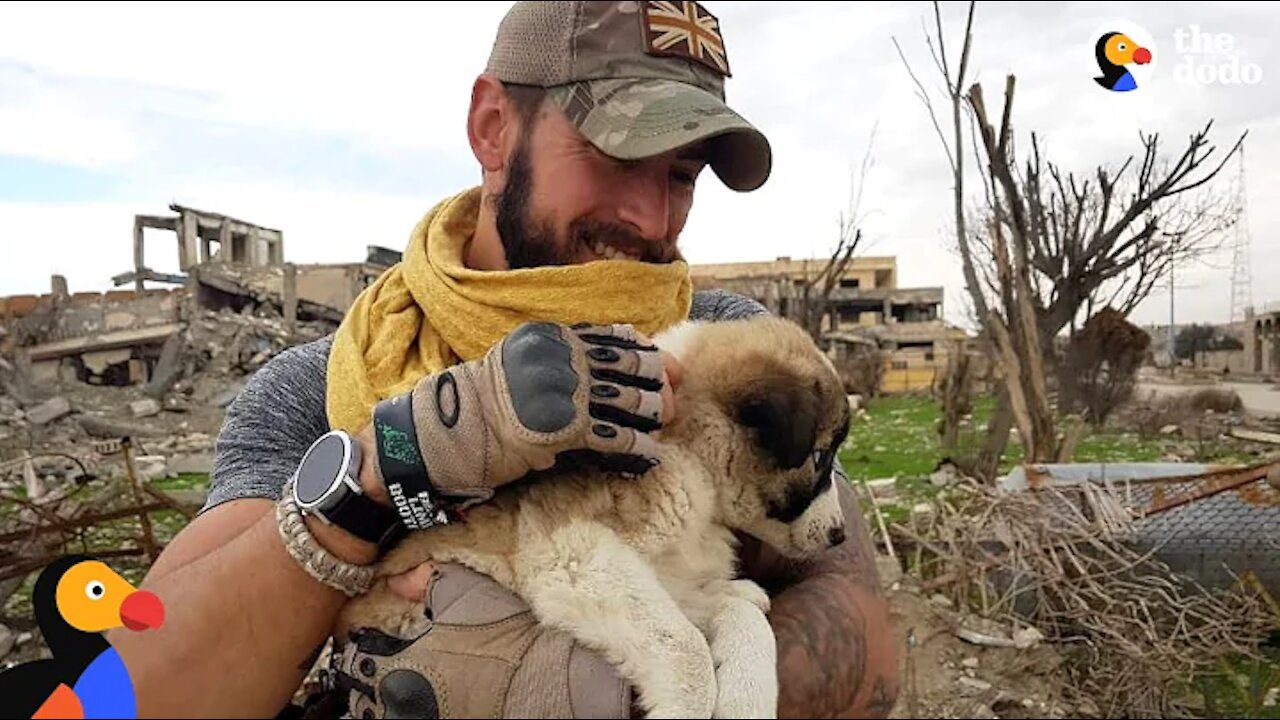 Soldier Saves Puppy Then Realizes He Can't Live Without Her