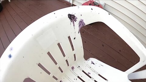 Strange purple substance falls from sky and covers Cheektowaga home