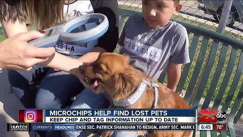 Dog rescue pushing tiny technology to help reunite lost pets and owners