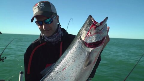 Salmon Fishing in Algoma WI