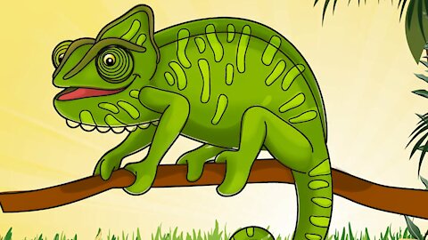 Chameleon - Animals For Kids - Know The Animal