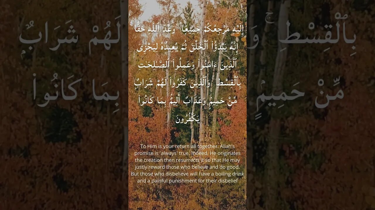 Surah yunus verse 4 #quraninspiration #explore#shorts #shortsfeed #shortvideo