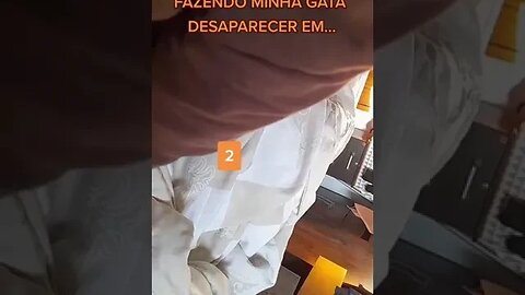 MÁGICA FAZENDO MEU GATO DESAPARECER