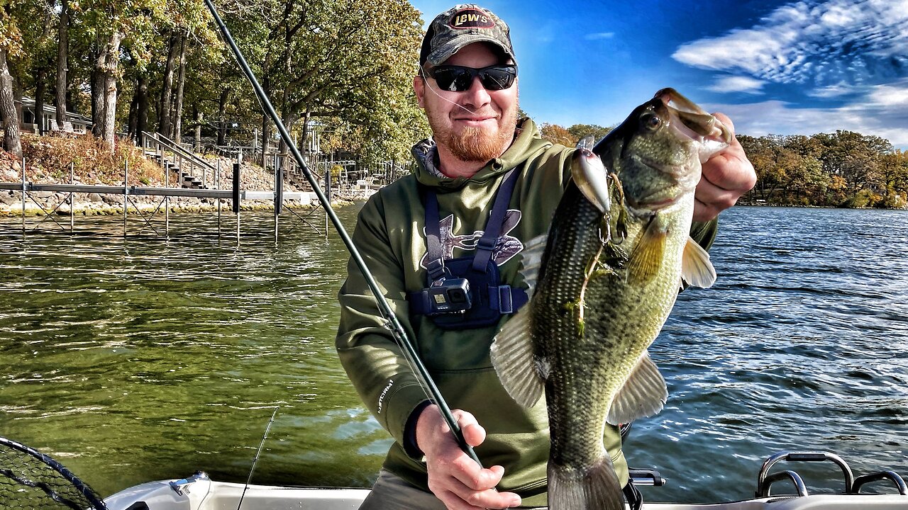 When the BASS go SHALLOW in the FALL, They are There to EAT | CRANKBAITS will CATCH them!