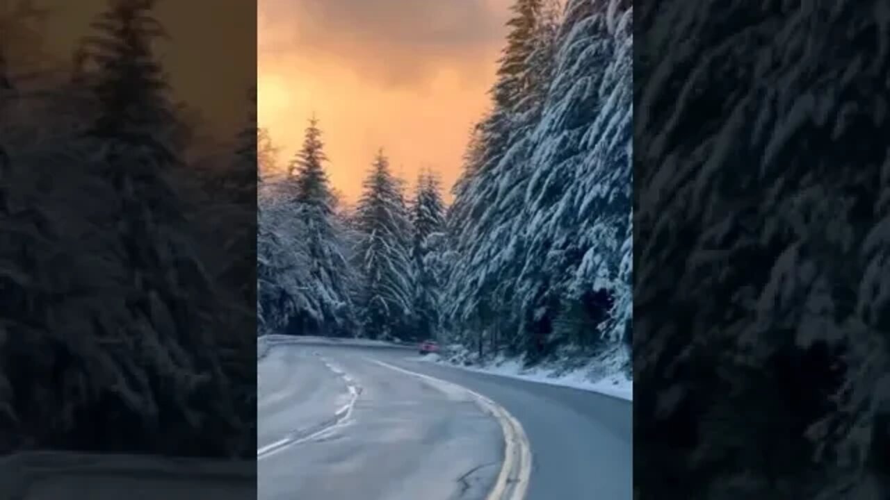 winter ❄️ is coming #shorts