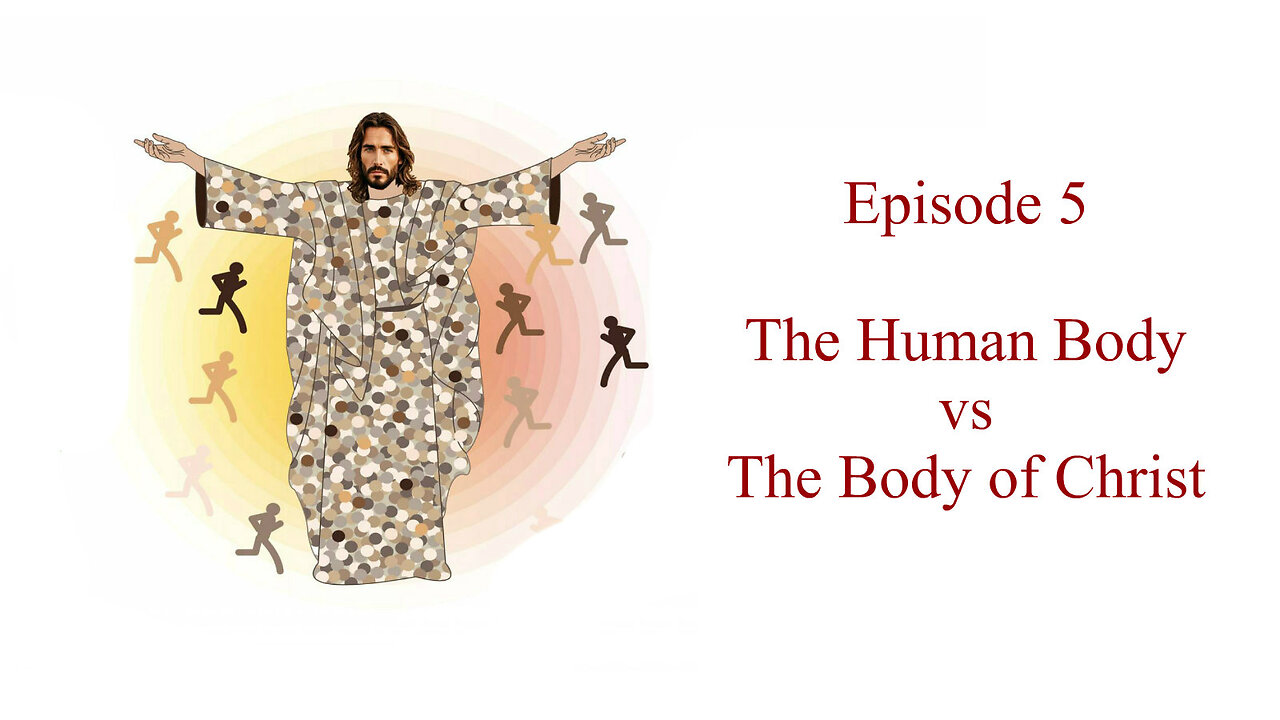 Episode 5 - The Human Body vs The Body of Christ