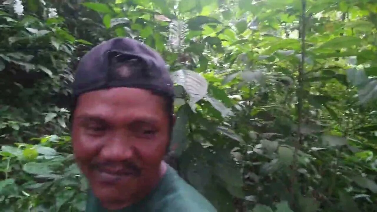 Liang Merdeka July 2023 Part C. Village Girls learn flossing. Roy cuts hair. Jungle hike+ Waterfall.