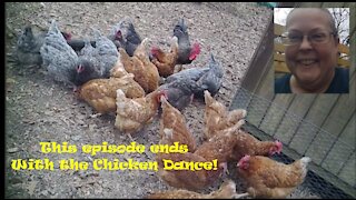 7 Acres Homestead-Episode #6-Chicken Coop and Run Improvements