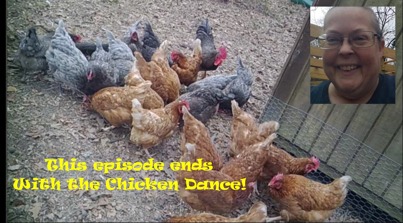 7 Acres Homestead-Episode #6-Chicken Coop and Run Improvements