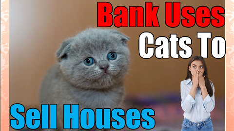 The Time A Russian Bank🏦 Used Cats🐈‍⬛🐈 To Sell Houses