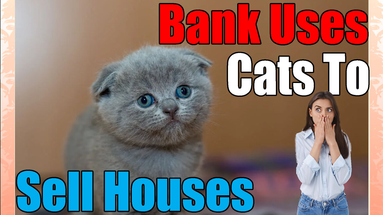 The Time A Russian Bank🏦 Used Cats🐈⬛🐈 To Sell Houses