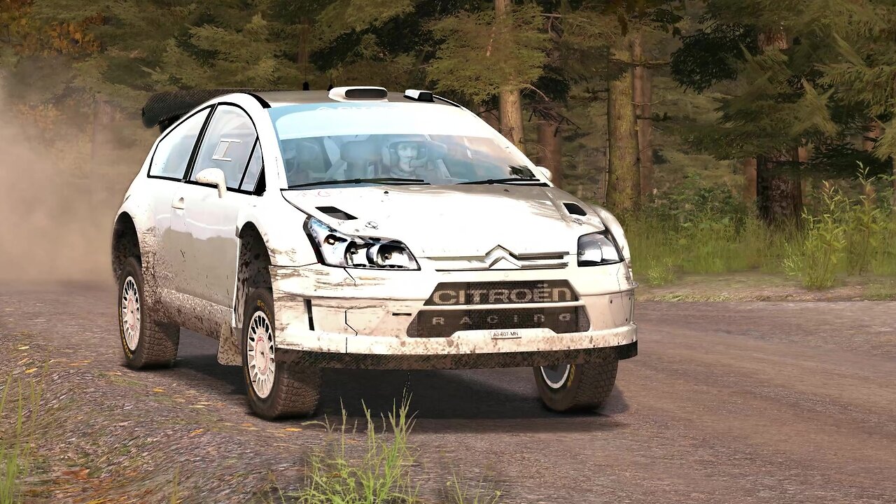 Citroen C4 at Kakaristo ( Dirt Rally gameplay and replay )