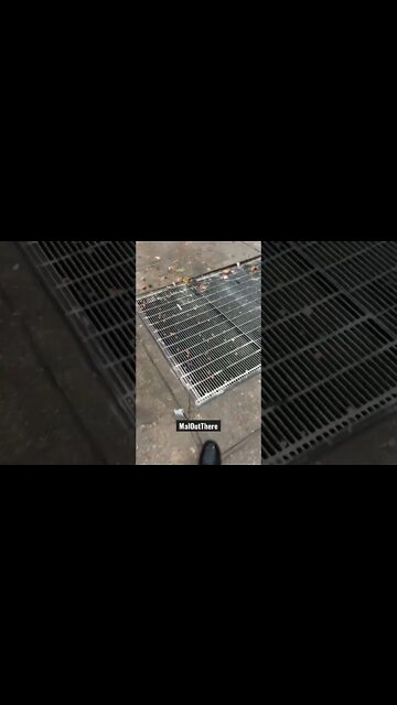 Panic in Needle Park