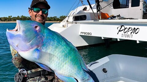 Spearfishing a BIG Black Spot Tusk Fish (Sailing Popao) Ep.13