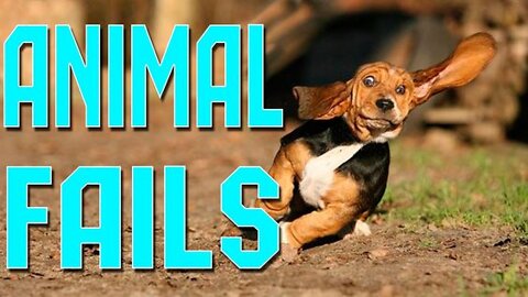 TRY NOT to LAUGH FUNNY PET FAILS Compilation | Epic Pet Videos & Moments