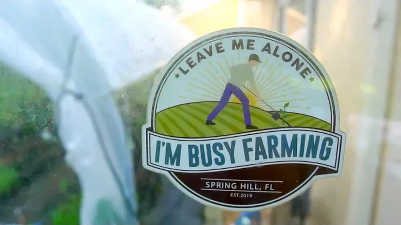 Leave Him Alone, He's Busy FARMING!! (Part 2) #gardening #trending #permaculture