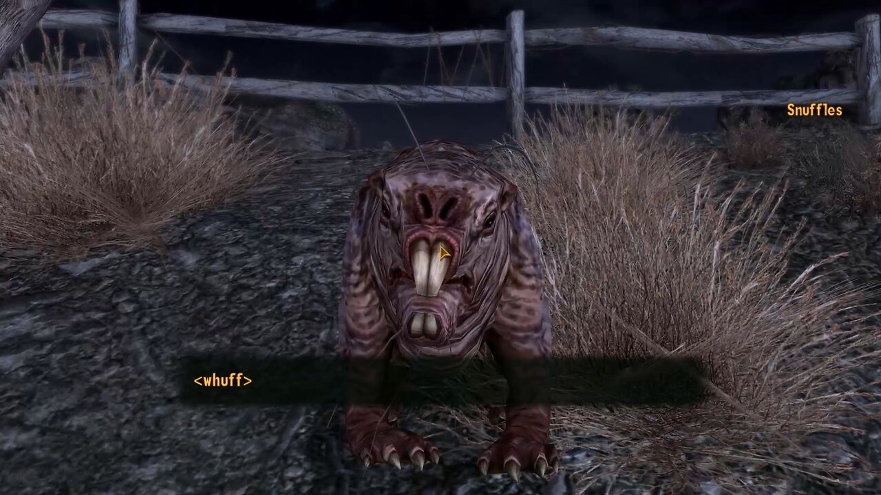 I met a friendly Mole Rat called Snuffles (Fallout: New Vegas)