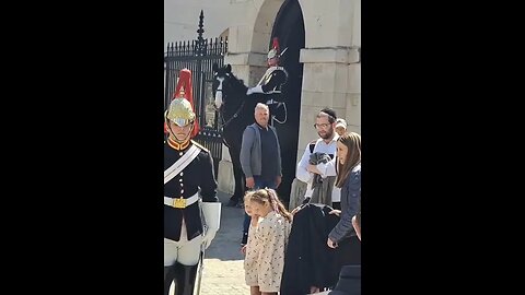 King's guard does not say a word #horseguardsparade