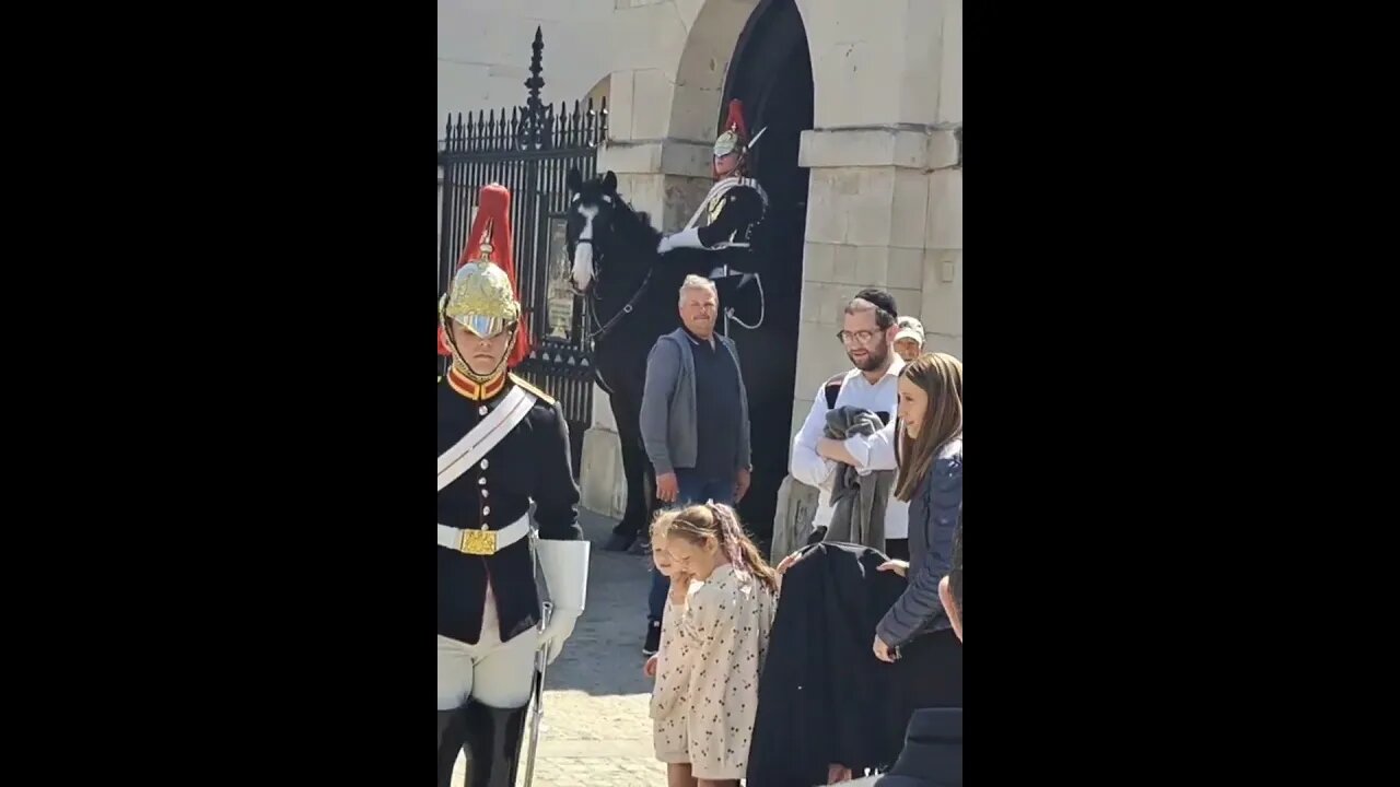 King's guard does not say a word #horseguardsparade
