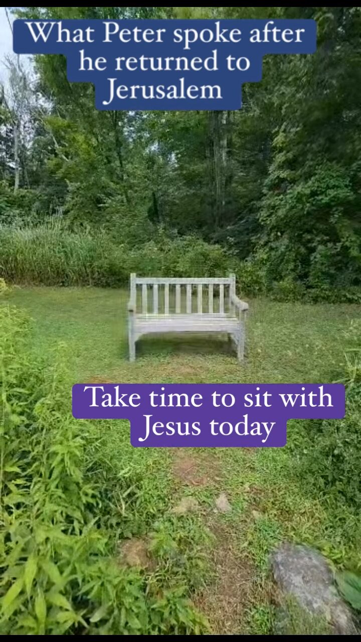 What Peter Said About The Holy Spirit And The Gentiles Acts 11