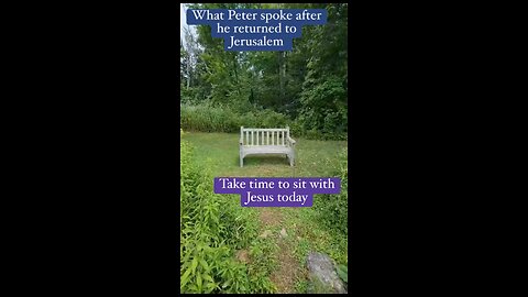 What Peter said about the Holy Spirit and the gentiles. Acts 11 #salvation #Jesus #bible