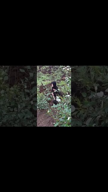 Prepping our OFF GRID Alaska cabin for solar panel install! 🌲 Visit our channel for the full video!