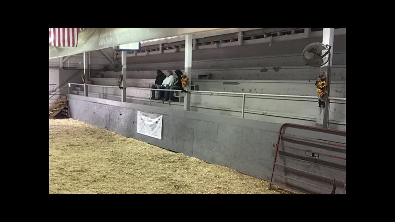 2021 Preston County Buckwheat Festival Pure Bred/Cross Bred Beef Show