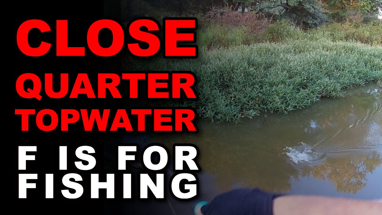 Close Quarter Topwater