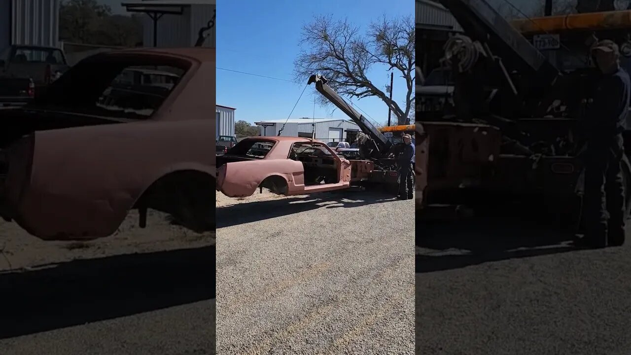 Saved from the Junkyard, 1966 Mustang Coupe tobe restored. #justdriveit #junkyardcars #fordmustang