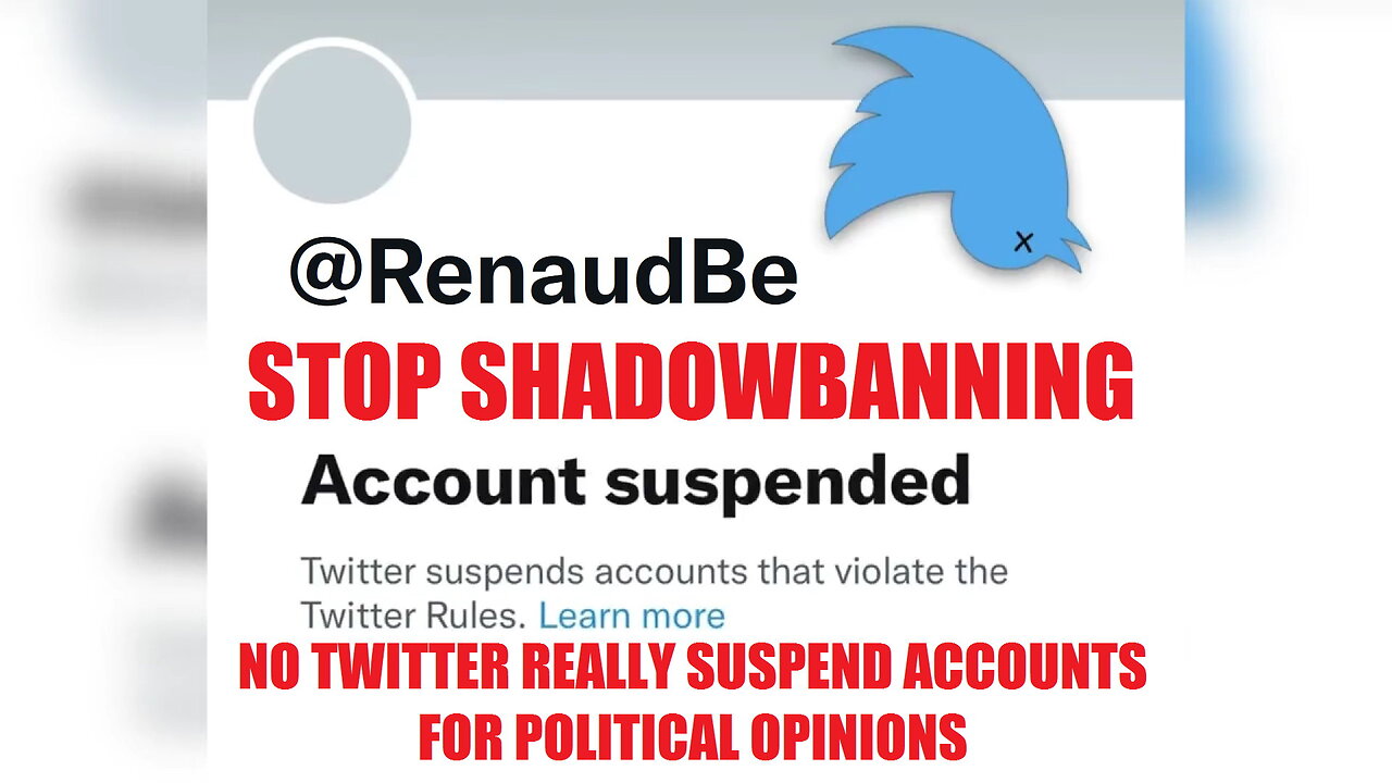ALL SHOULD BE UNSHAD0WBANNED & UNSUSPENDED AT TWITTER
