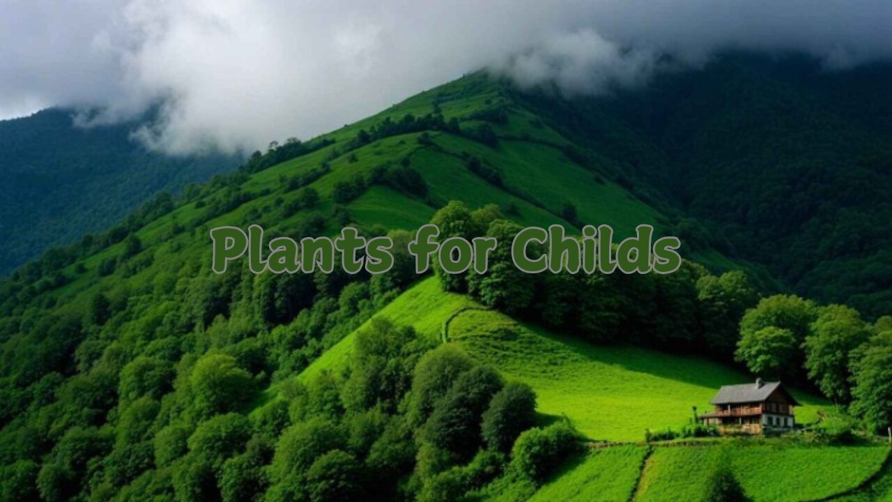Parts of Plants for Childs | Learn all about plant parts and their functions