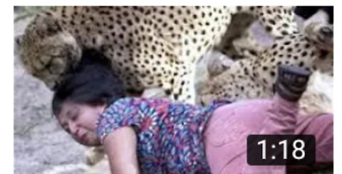 Leopard attack at kruger park caught on camera.