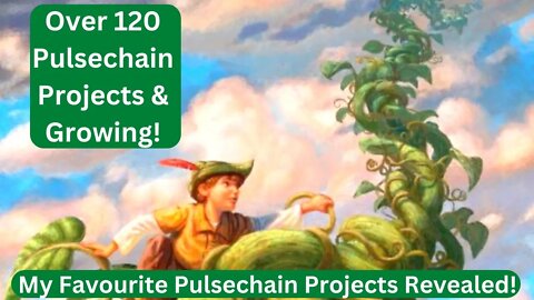 Over 120 Pulsechain Projects & Growing! My Favourite Pulsechain Projects Revealed!