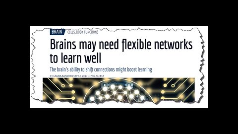 A Close Look at Cognitive Flexibility